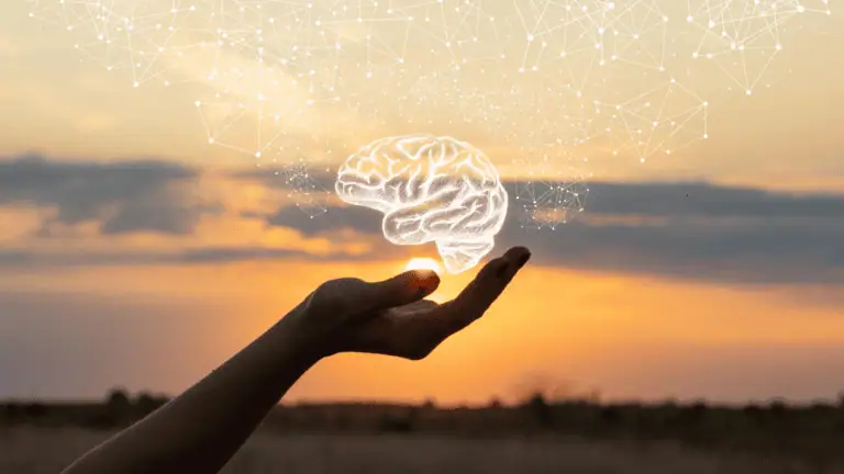 The Brain and Mediation<br />
