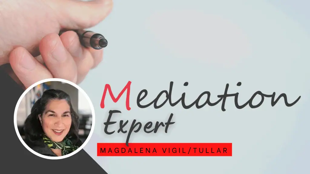 Mediation Expert